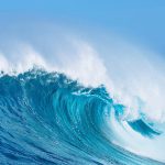 一站式网络解决方案，从需求到落地